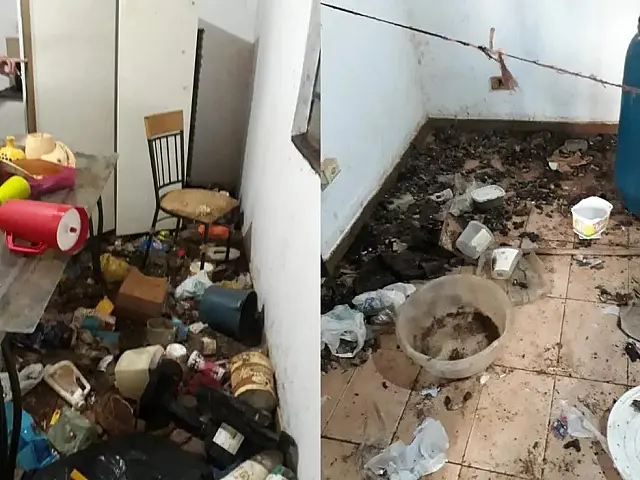 Mulher é presa por abandonar 17 gatos