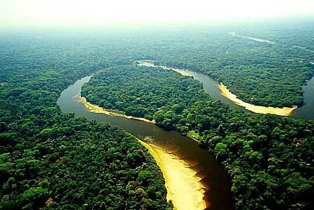 MP do Código Florestal já recebeu quase 200 emendas