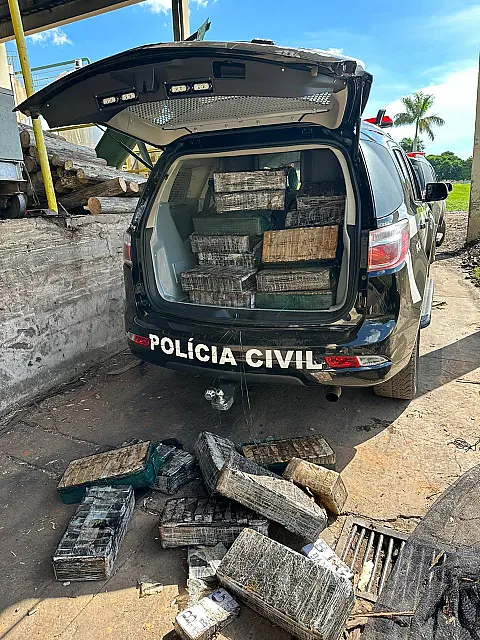 Polícia Civil de Dois Irmãos do Buriti incinera 649 kg de drogas