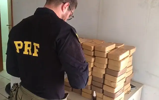 Apreensão de entorpecentes gera prejuízo de R$ 27 milhões