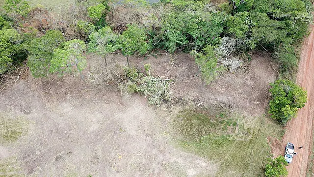 Pecuarista é multado em R$ 5 mil por desmatamento em Nioaque