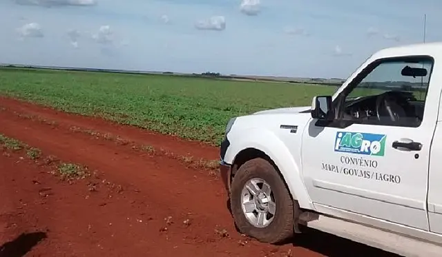 MAPA estabelece período de vazio sanitário para regiões produtoras