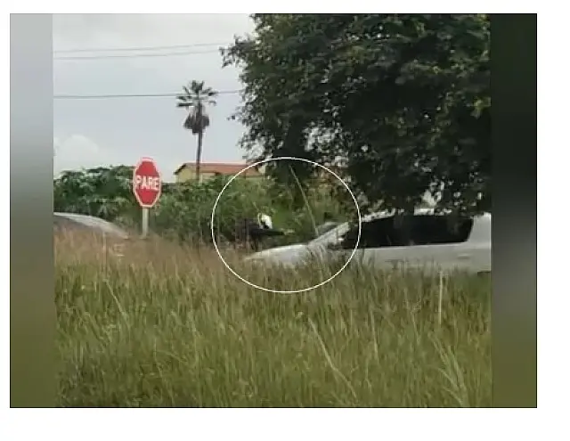 Testemunha gravou execução de policiais em rodovia (vídeo)