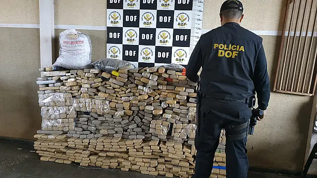 Junho registra maior volume de apreensões de drogas feitas pelo DOF