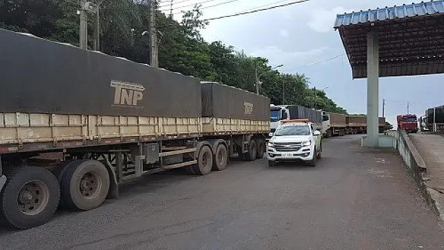 15 carretas bitrem carregadas de soja são apreendidas em rodovia