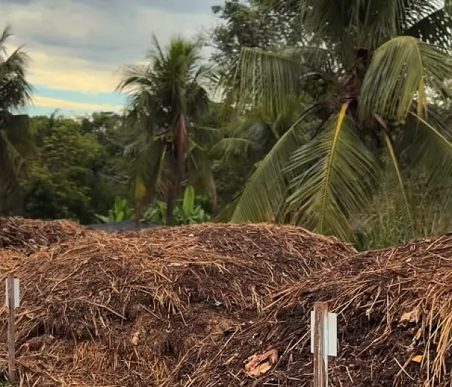 Bonito amplia compostagem em ação Lixo Zero