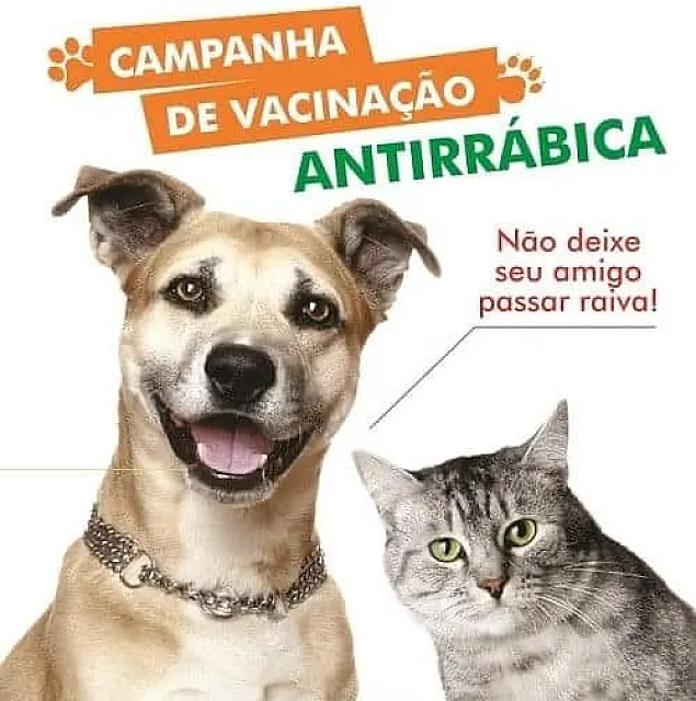 Anastácio inicia campanha de vacinação antirrábica para cães e gatos