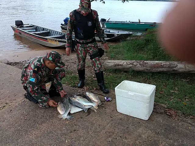 Onze pessoas são presas por pesca ilegal e 105 quilos de peixes são apreendidos