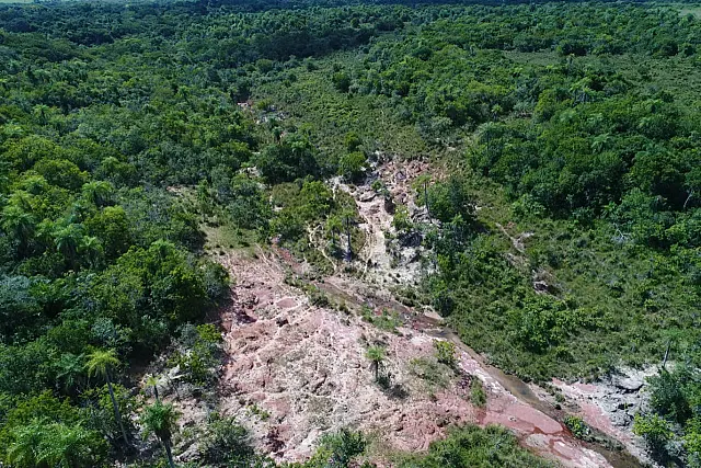 Fazendeiro é multado por degradação de área preservada em Jardim