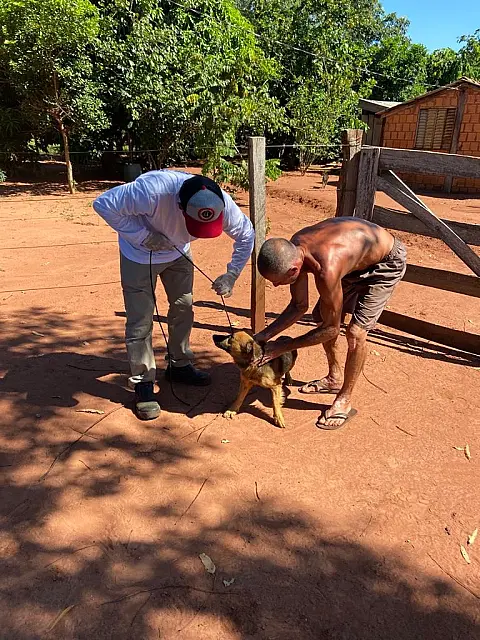 Sesau está realizando vacinação antirrábica nos Indaiás