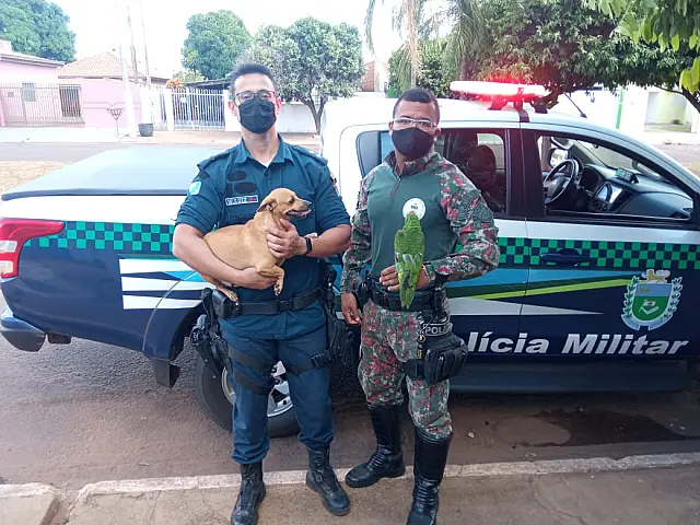 Garoto que filmou maus tratos responderá em liberdade, mas mãe vai pagar multa