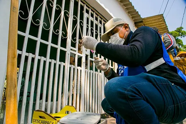 Corumbá inicia vacinação antirrábica de cães e gatos