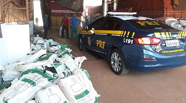PRF descobre mais de 1,1 tonelada de maconha sob carga de soja