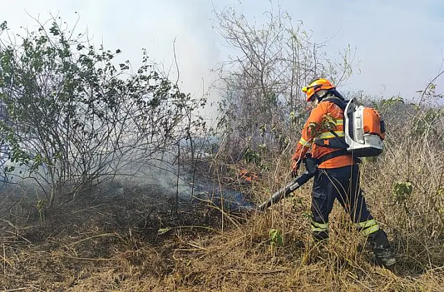 Pantanal de MS tem umidade em 10%