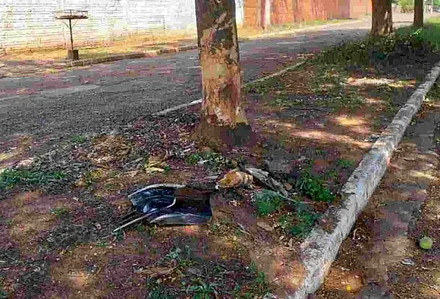Motorista bêbado bate em árvore e acaba preso em Anastácio