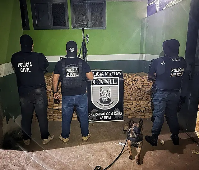Polícia apreende 831 kg de drogas em Ponta Porã