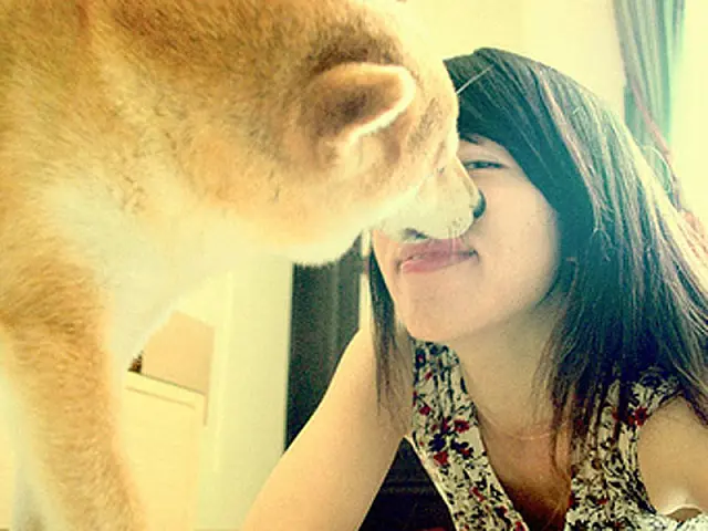 Donos de cães são mais felizes e têm mais chances de encontrar amor, diz pesquisa