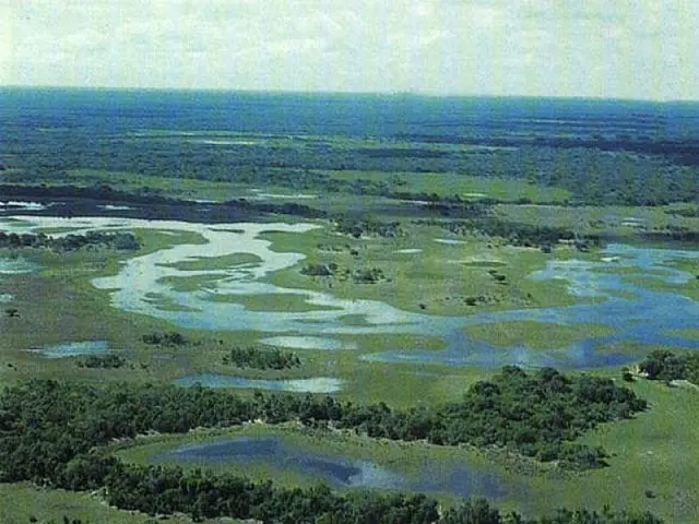 Metade da bacia do Pantanal está sob risco ambiental, avalia estudo