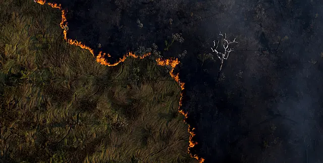 Desmatamento no Cerrado cai 22% em meio a avanço dos incêndios na Amazônia