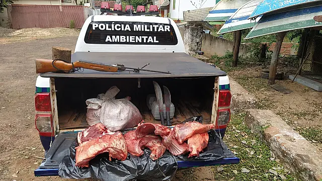 Polícia Ambiental autua dois homens por caça ilegal de porcos silvestres
