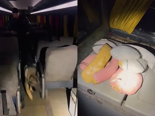 Polícia apreende 8 kg de droga em ônibus interestadual em Miranda