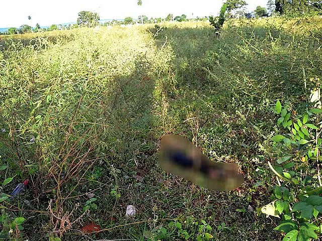 Homem mata cão degolado, é denunciado por vizinhos e foge