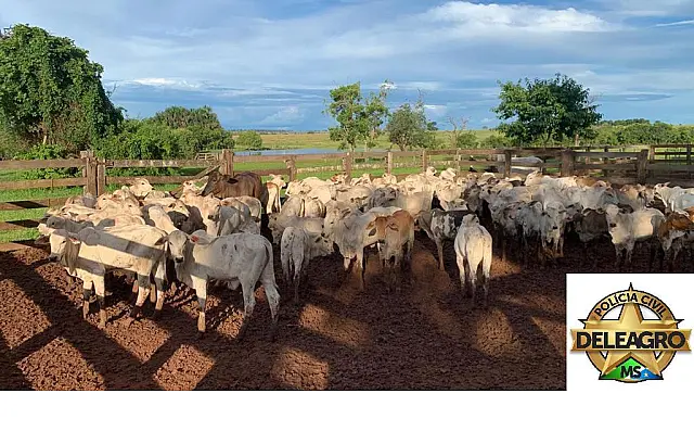 Quadrilha que deixou fazendeiro em cárcere para furtar gado é identificada