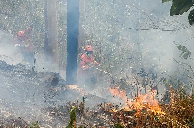 Pantanal tem 8 focos de incêndio ativos mesmo após semana de frio e chuva
