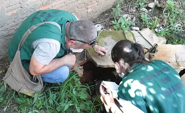 Saúde e Educação de MS farão ação em escolas para combater mosquito Aedes aegypti
