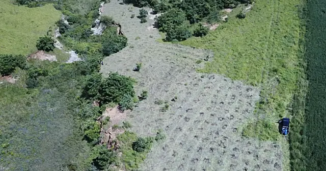 Nascente do Rio Aquidauana já recebeu 3 mil mudas de árvores para recuperação