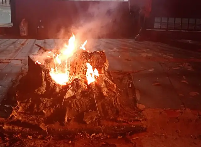 Idoso é autuado por incêndio em toco de árvore