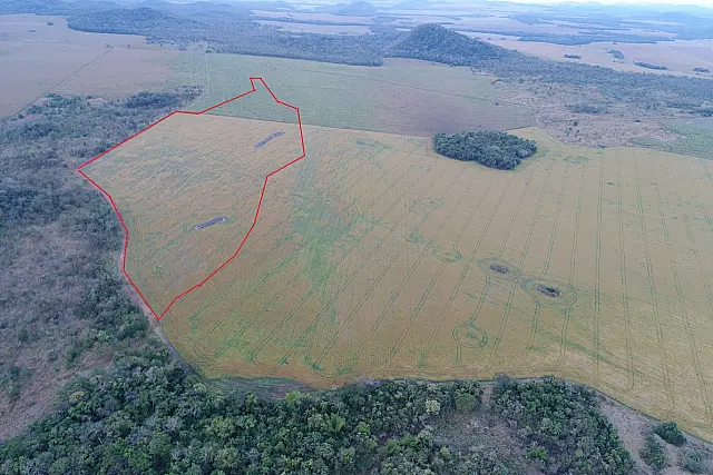 PMA autua fazendeiro por desmatamento em três áreas de vegetação nativa em Bonito