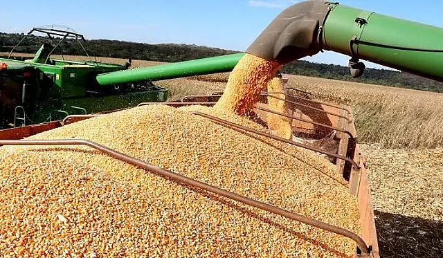 Produção agrícola deve superar os 106,5 milhões de toneladas neste ano