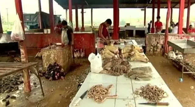 Cresce número de matadouros clandestinos em MS; são pelo menos 12, diz sindicato