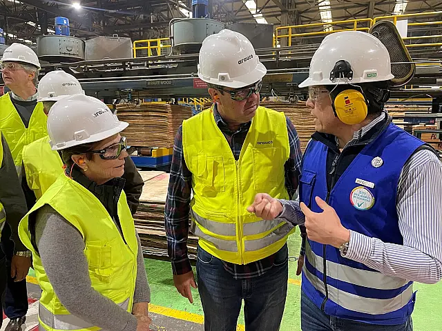 Arauco aprova R$ 25,1 bilhões para fábrica de celulose em Inocência