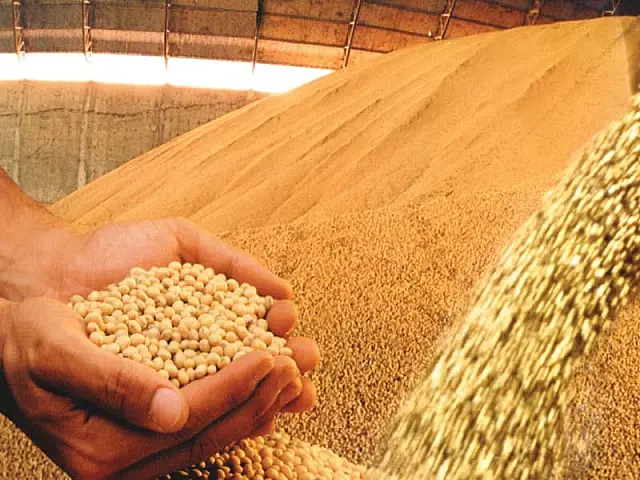 MS já colheu 50% da safra de soja