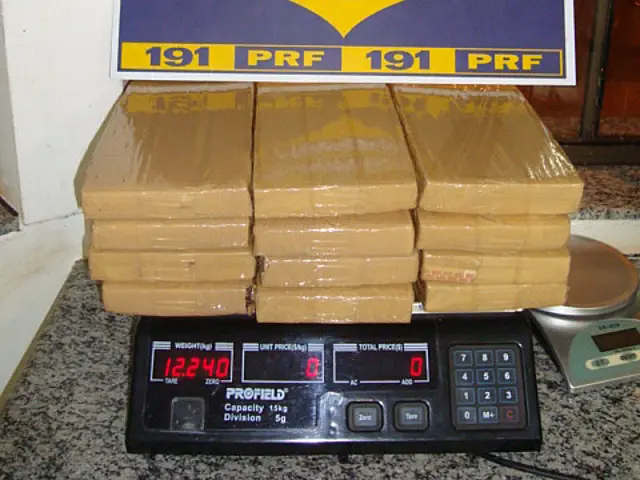 PRF prende passageira com 12,2 quilos de maconha