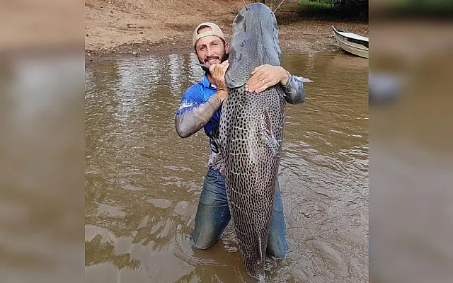 Agricultor pesca peixe de 1,75 metro e mais de 60 Kg em rio de MS: 'Bati meu próprio recorde'