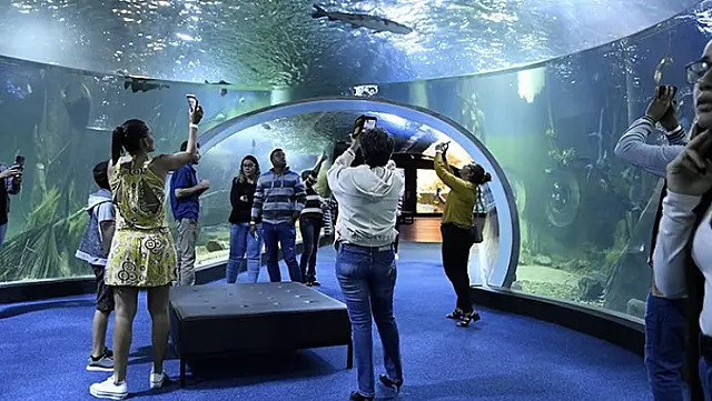 Bioparque Pantanal reabre na terça-feira após passar por manutenção