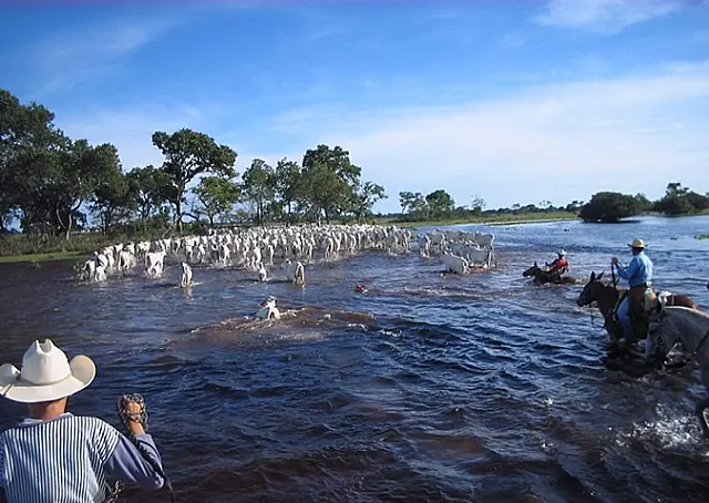 Vitrine do turismo, Diálogos Pantanal+Sustentável acontece na próxima semana