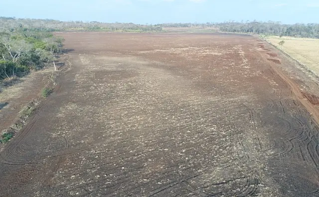 Fazendeiro é multado em R$ 224 mil por desmatamento e incêndio em Bonito