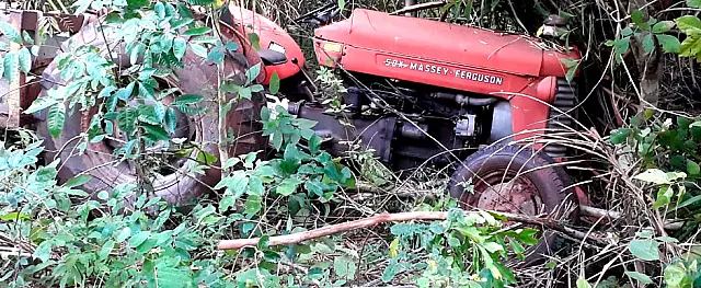 Família é salva por árvore na descida do Morro do Paxixi