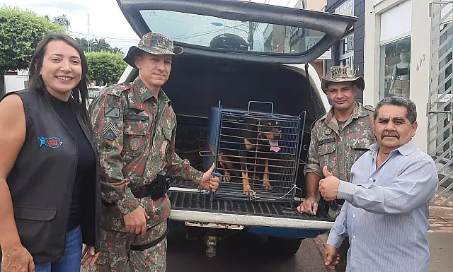 PMA resgata cão abandonado por família que se mudou para outro estado