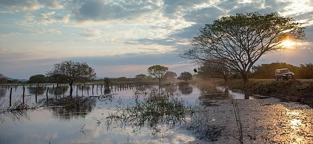 Lei do Pantanal: Riedel apresenta projeto de preservação no bioma