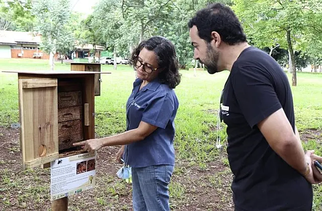 Primeiro curso de criação de abelhas sem ferrão vai ocorrer no Parque das Nações