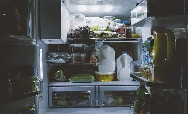 Moradora chega de viagem e nota falta de alimentos na geladeira em Dois Irmãos do Buriti