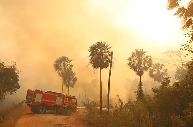 MS busca resposta para evitar danos do El Niño no Pantanal