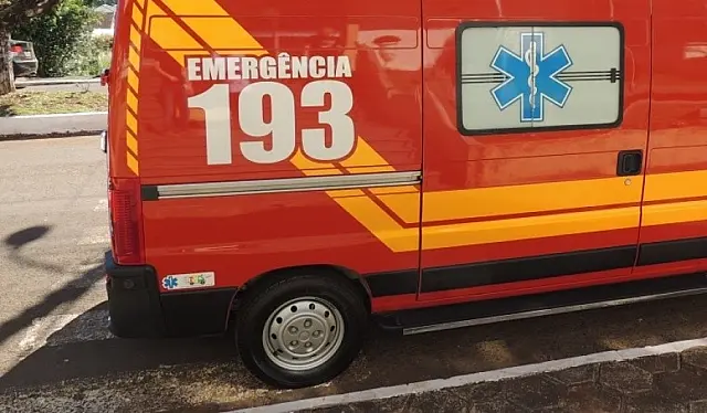 Carro não consegue desviar e bate na traseira de carreta na BR-262
