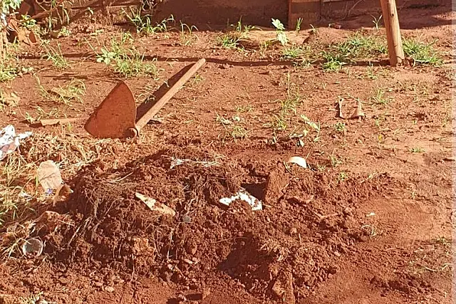 Marido mata e enterra cachorro após expulsar esposa e filha de casa em Campo Grande