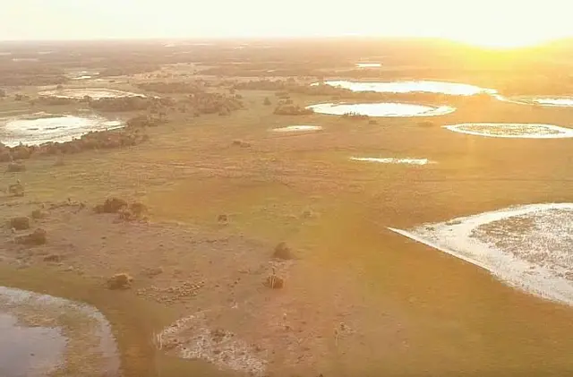 Proprietários de imóveis no Pantanal devem fazer adequações